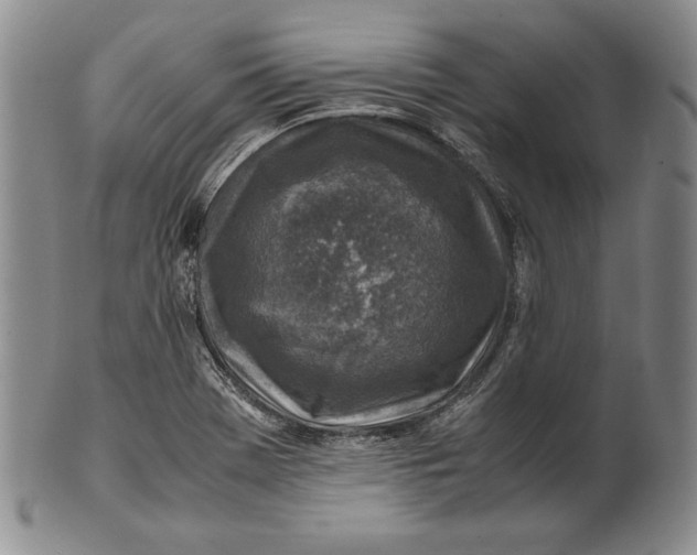 X0000100761369200807101717