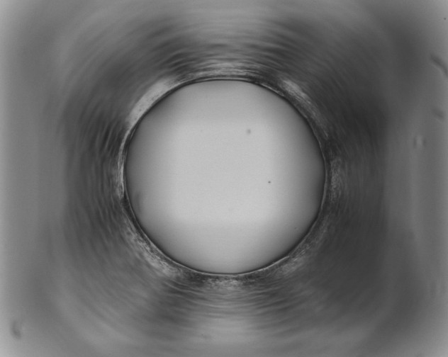 X0000100761370200807101717