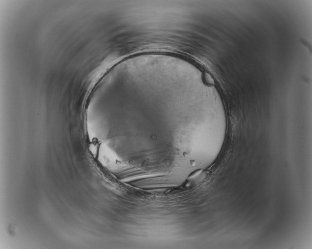 X0000100761371200807101717