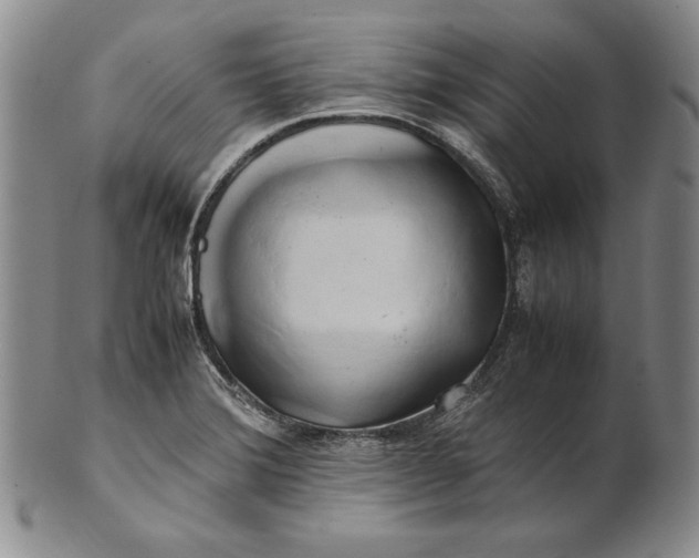 X0000100761372200807101717