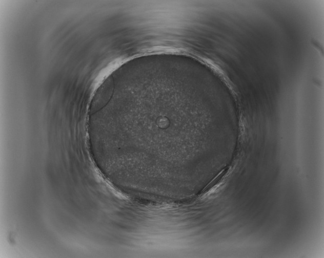 X0000100761373200807101717