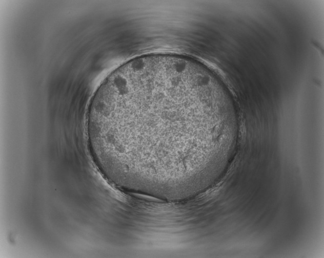 X0000100761375200807101717