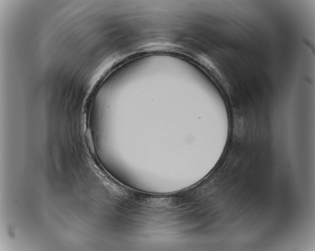 X0000100761376200807101717