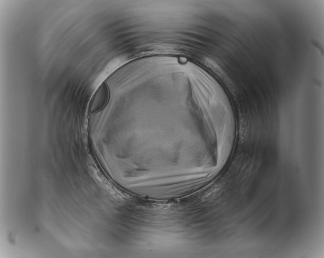 X0000100761378200807101717