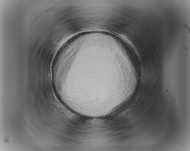 X0000100761380200807101717