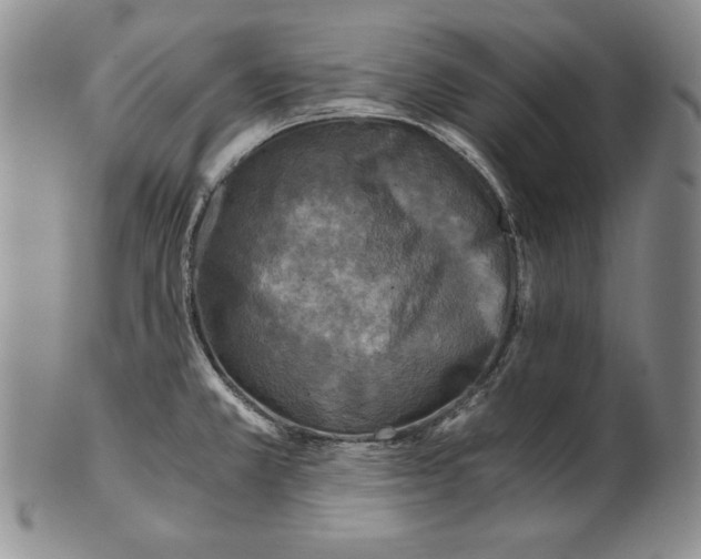 X0000100761381200807101717