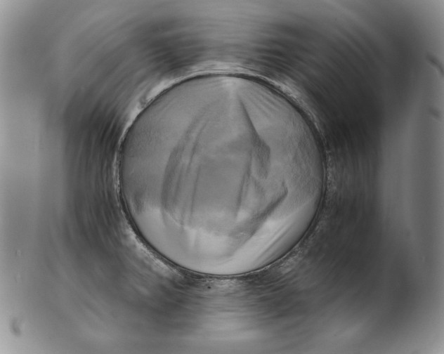 X0000100761382200807101717