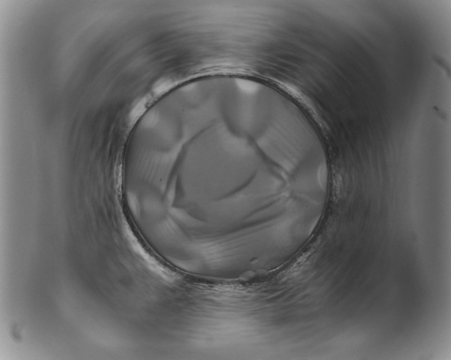 X0000100761383200807101717