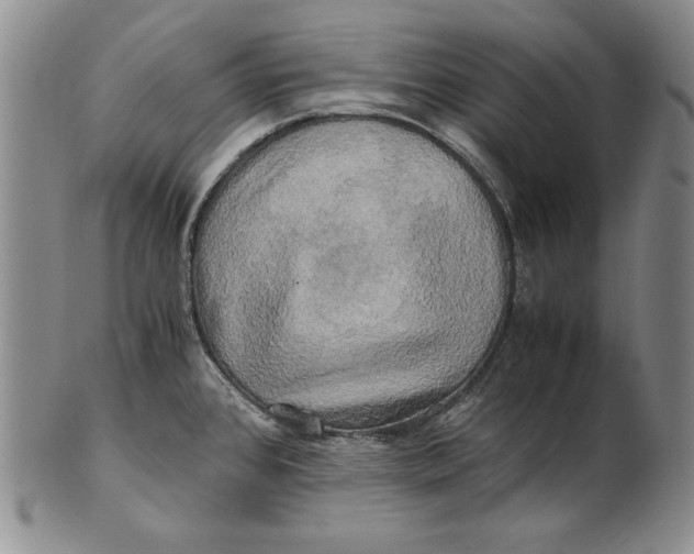 X0000100761384200807101717