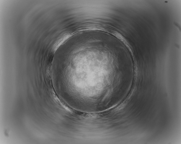 X0000100761385200807101717