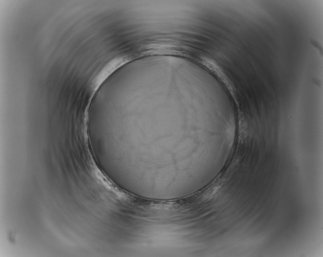 X0000100761386200807101717