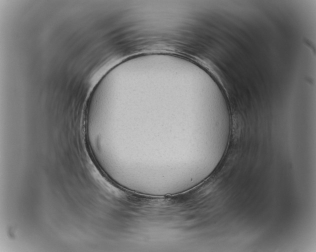 X0000100761387200807101717