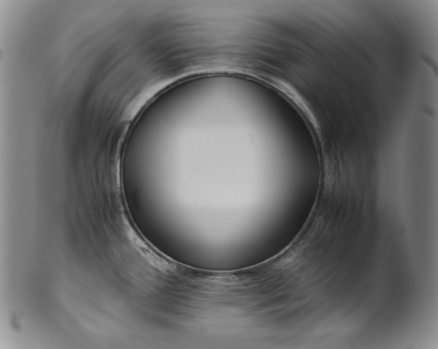 X0000100761388200807101717