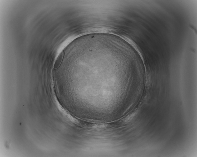 X0000100761389200807101717