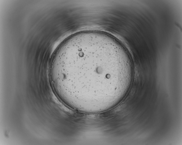 X0000100761390200807101717