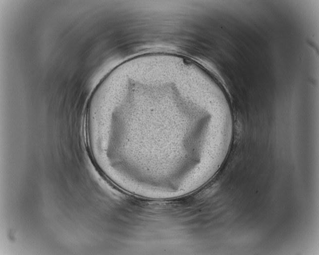 X0000100761391200807101717