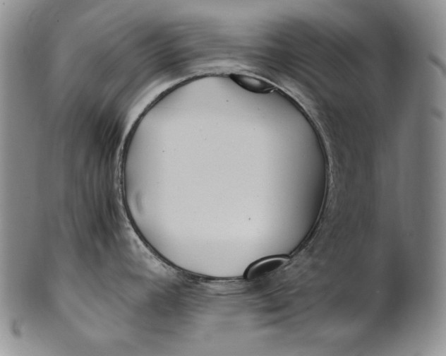 X0000100761392200807101717