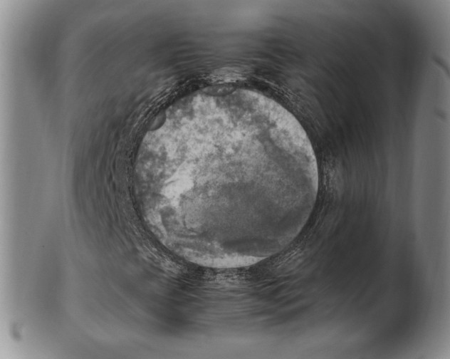 X0000100761393200807101716