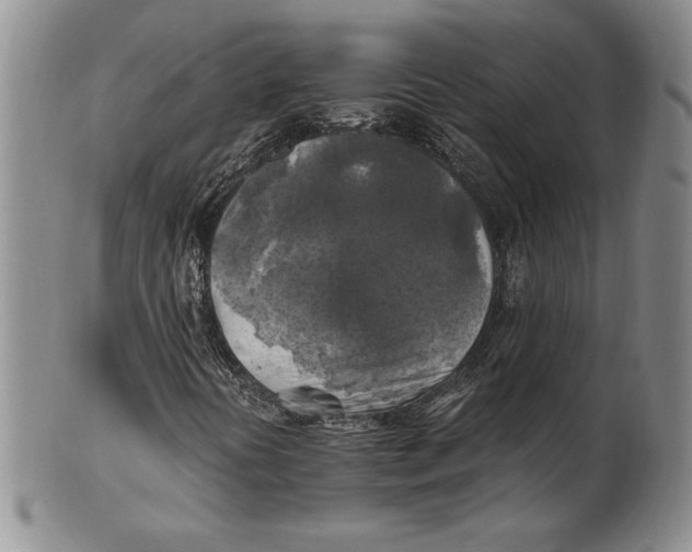 X0000100761394200807101716