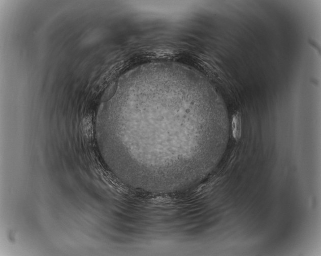 X0000100761395200807101716