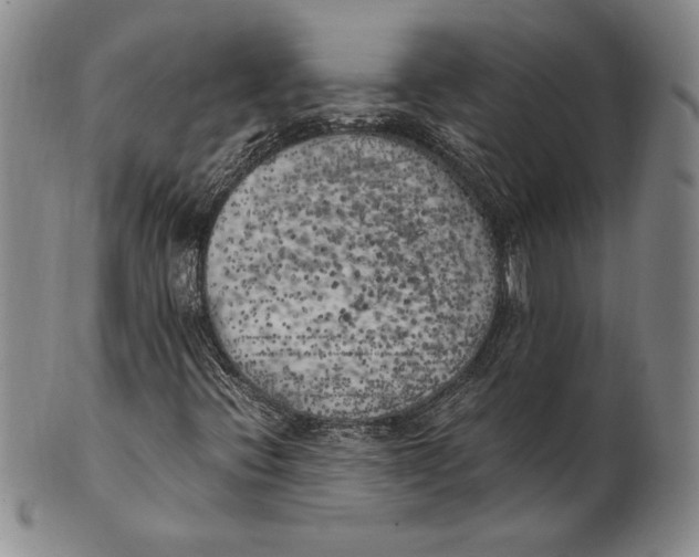 X0000100761396200807101716