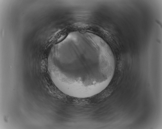 X0000100761397200807101716