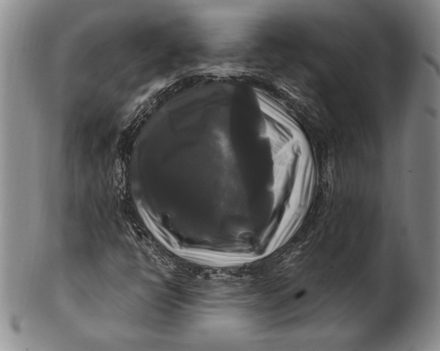 X0000100761398200807101716