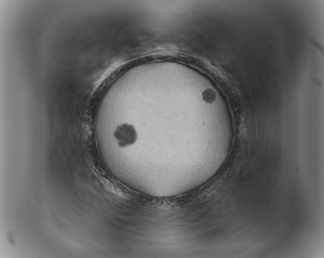 X0000100761400200807101716