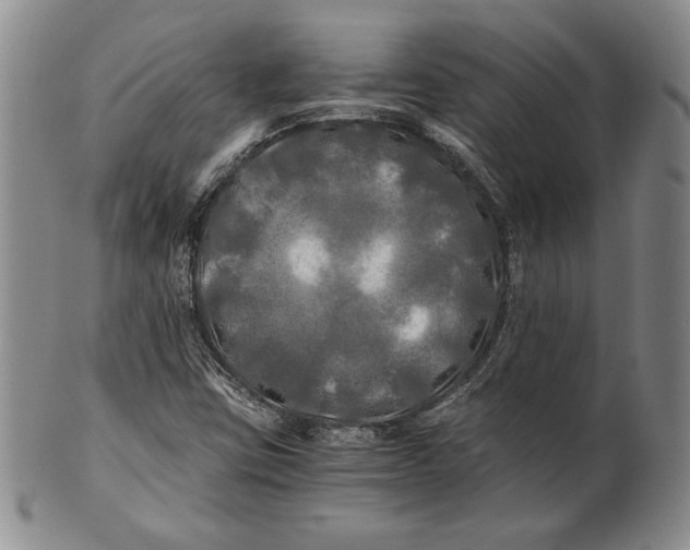 X0000100761403200807101716