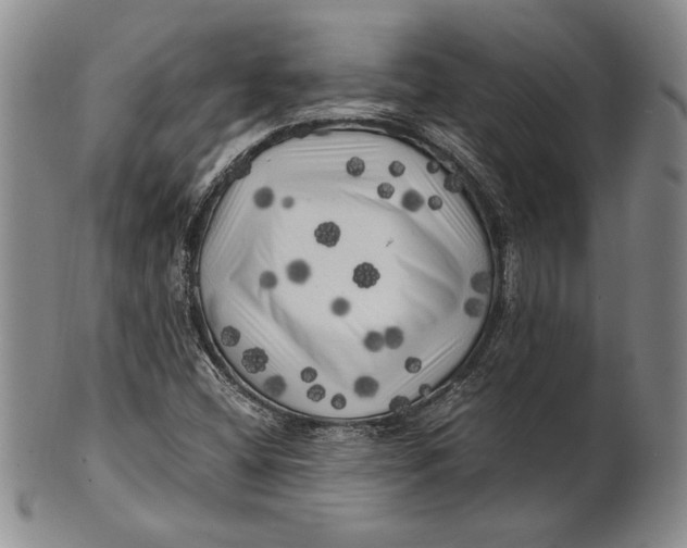 X0000100761404200807101716