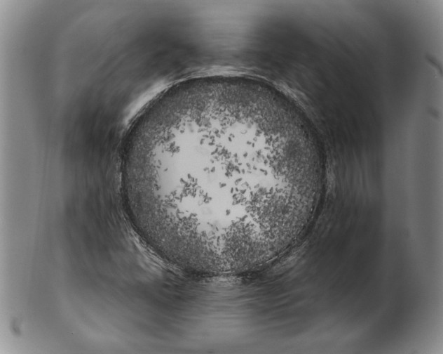 X0000100761406200807101716