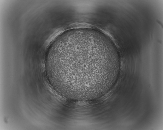 X0000100761407200807101716