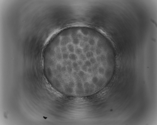 X0000100761408200807101716