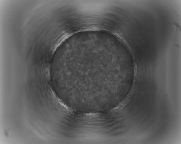 X0000100761409200807101716