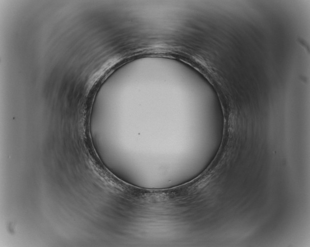 X0000100761410200807101716