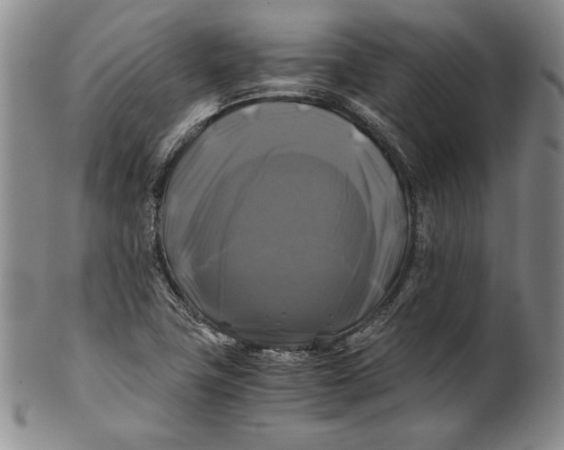 X0000100761411200807101716