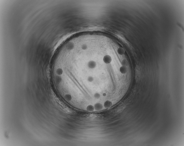 X0000100761412200807101716