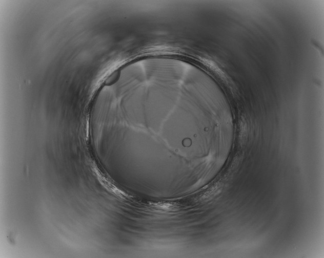 X0000100761413200807101716