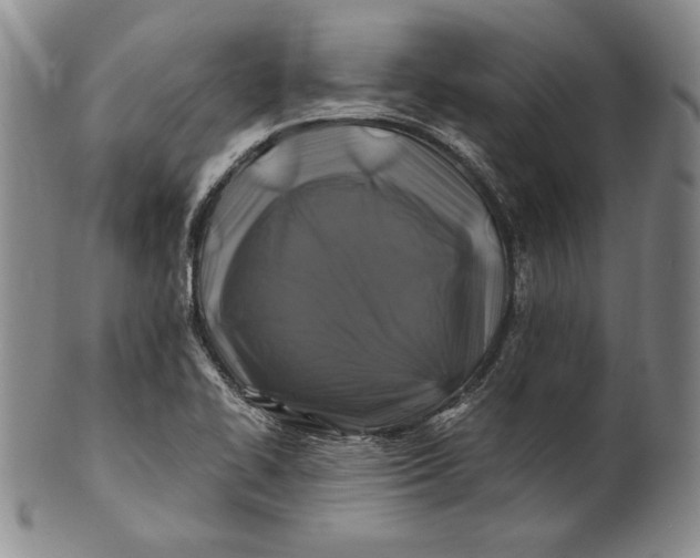 X0000100761414200807101716