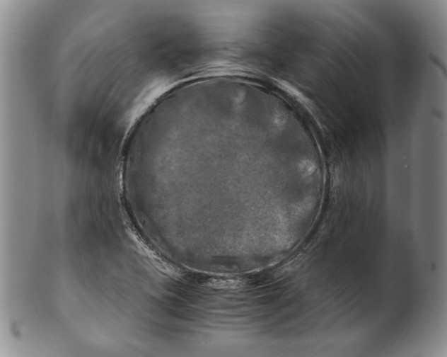 X0000100761415200807101717