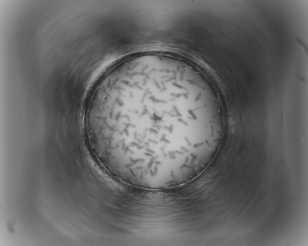 X0000100761416200807101717