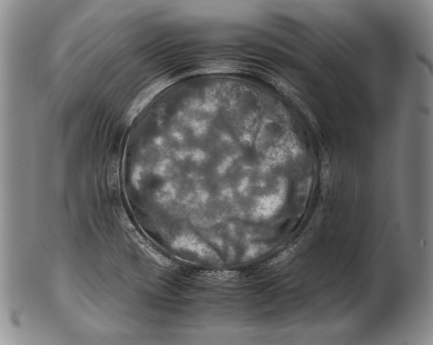 X0000100761417200807101717