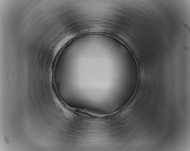 X0000100761418200807101717