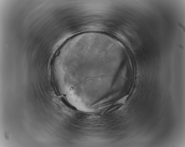 X0000100761419200807101717