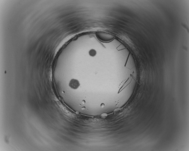 X0000100761420200807101717