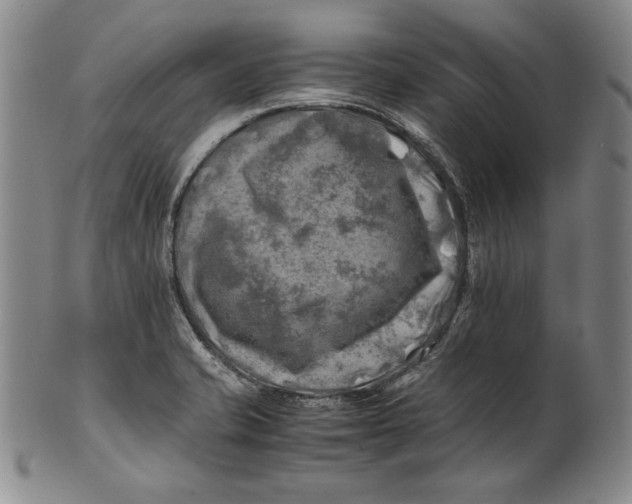 X0000100761421200807101717