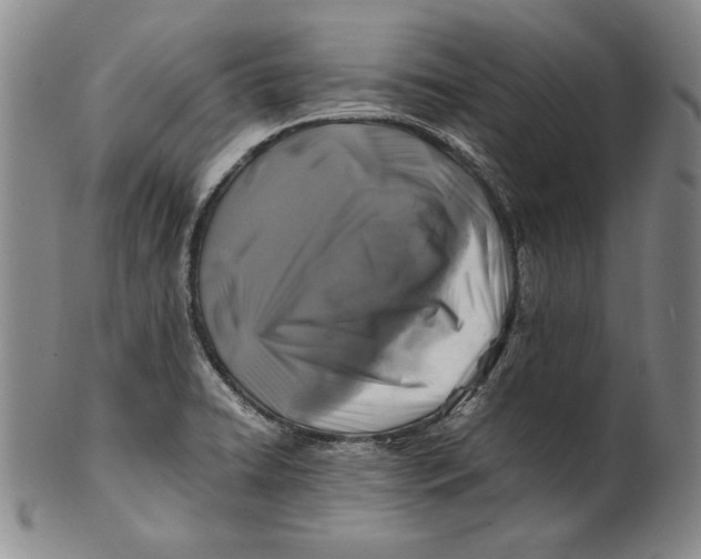 X0000100761422200807101717