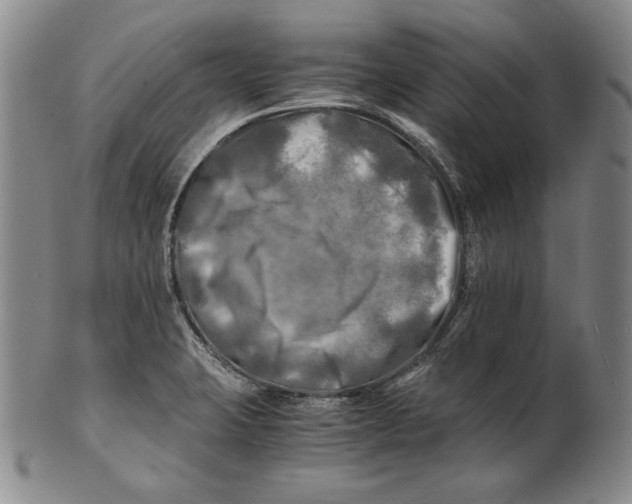 X0000100761423200807101717