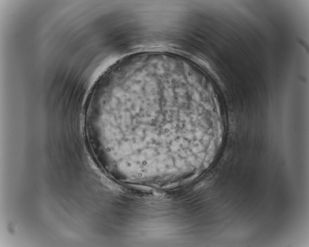 X0000100761424200807101717