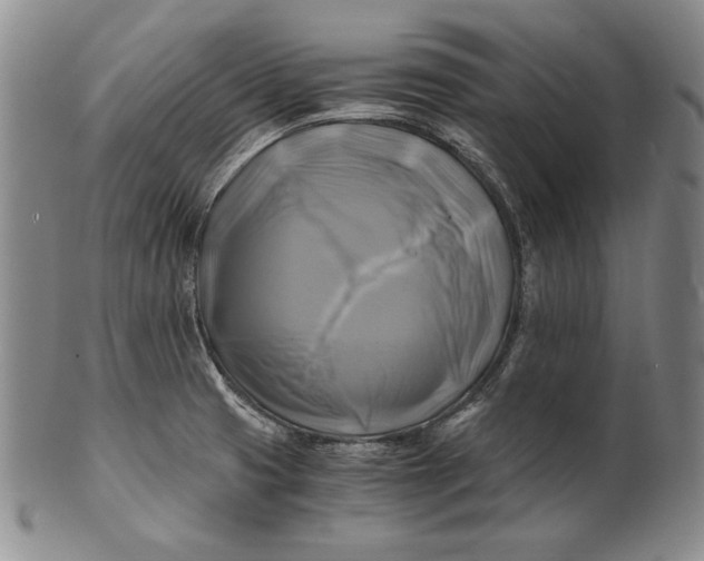 X0000100761425200807101717